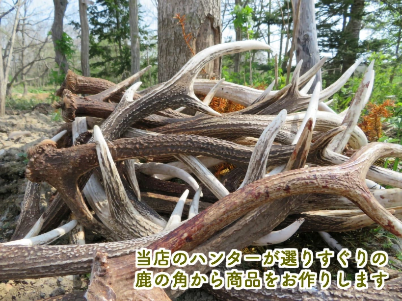 当店のハンターが選りすぐりの鹿の角から商品をお作りします