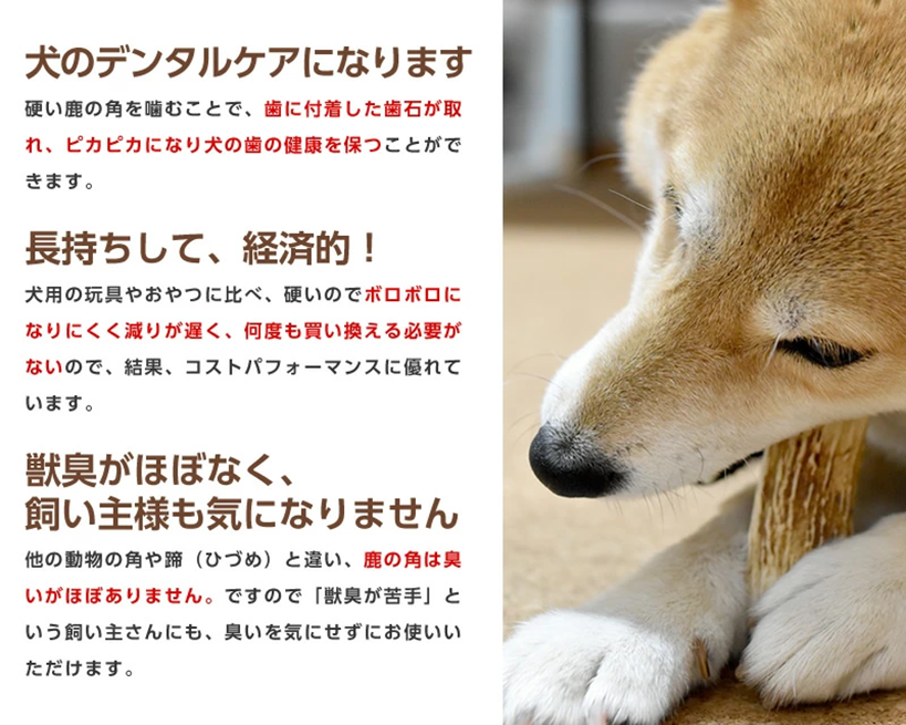 犬のデンタルケアになります